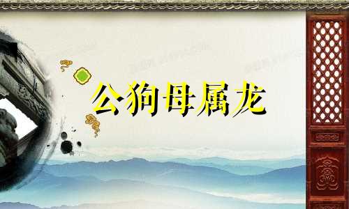 公狗母属龙
