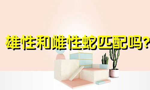 雄性和雌性蛇匹配吗?