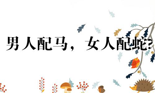 男人配马，女人配蛇?