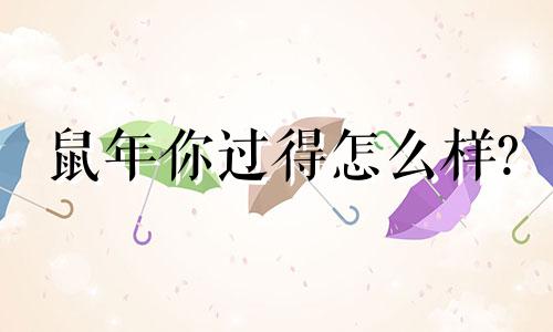 鼠年你过得怎么样?