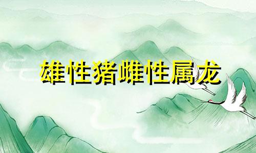 雄性猪雌性属龙