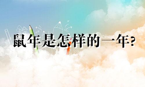 鼠年是怎样的一年?