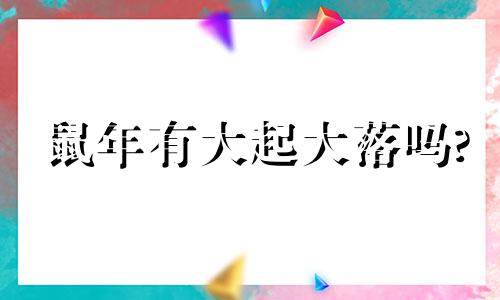 鼠年有大起大落吗?