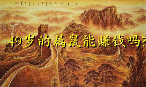 49岁的属鼠能赚钱吗?