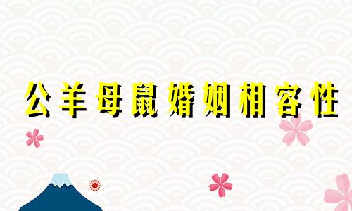 公羊母鼠婚姻相容性
