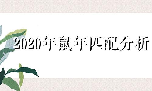 2020年鼠年匹配分析