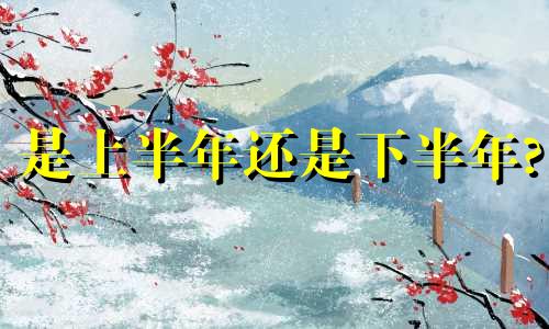 是上半年还是下半年?