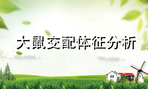 大鼠交配体征分析