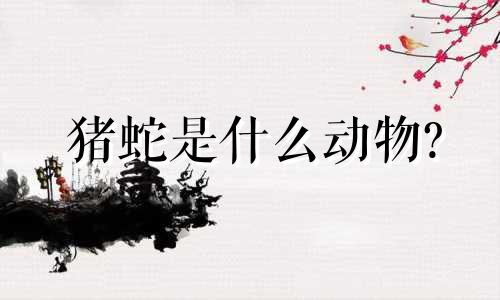 猪蛇是什么动物?