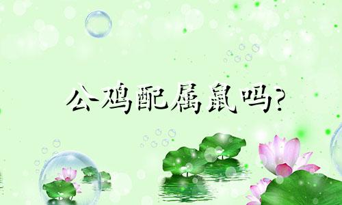 公鸡配属鼠吗?
