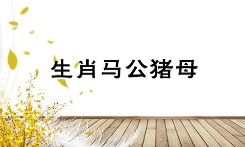 生肖马公猪母