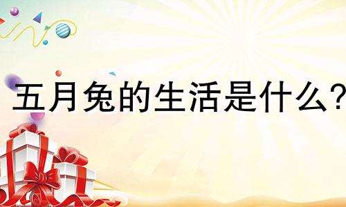 五月兔的生活是什么?
