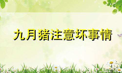九月猪注意坏事情