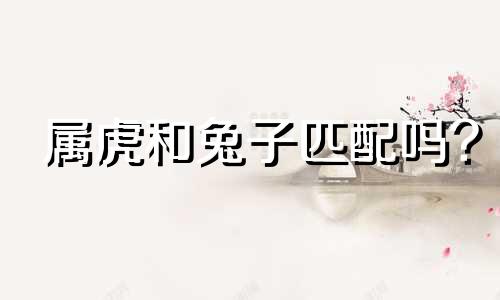 属虎和兔子匹配吗?