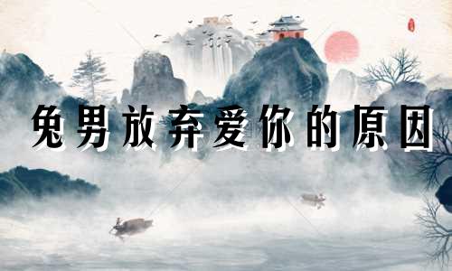 兔男放弃爱你的原因