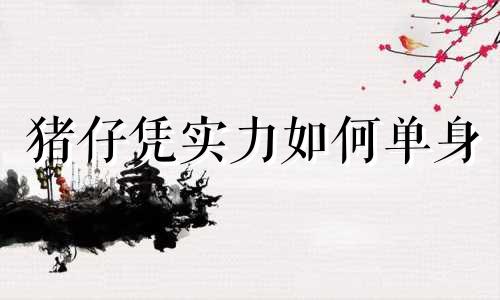 猪仔凭实力如何单身