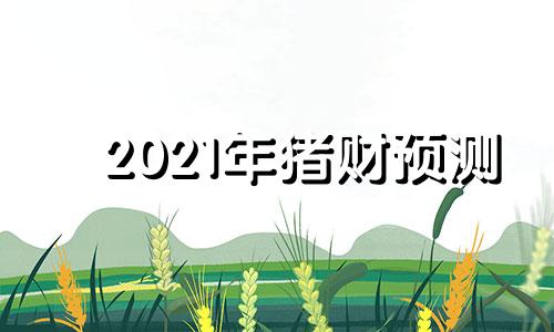 2021年猪财预测