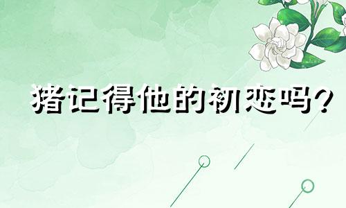 猪记得他的初恋吗?