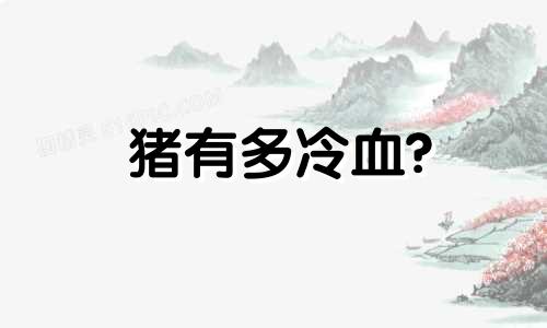 猪有多冷血?