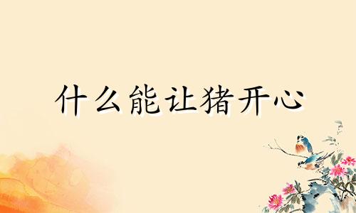 什么能让猪开心