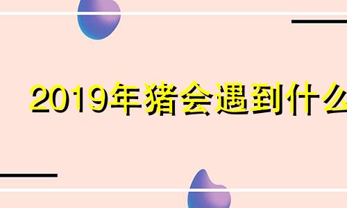 2019年猪会遇到什么
