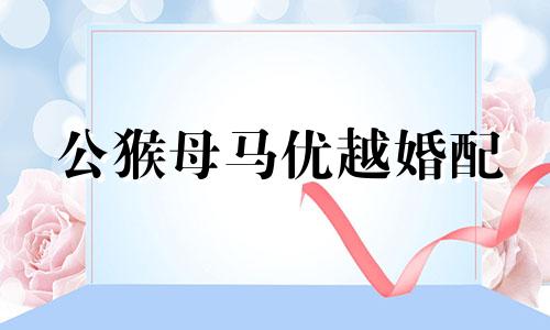 公猴母马优越婚配
