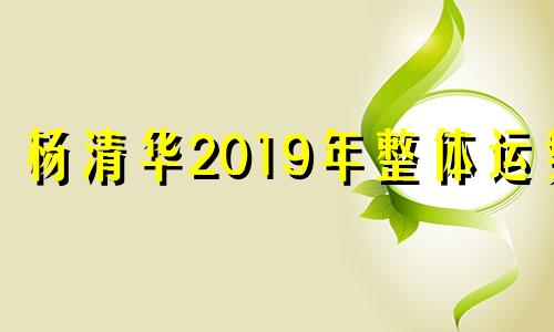 杨清华2019年整体运势