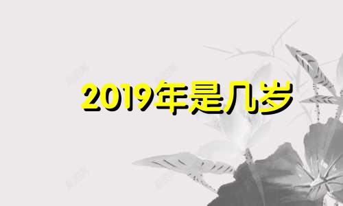2019年是几岁