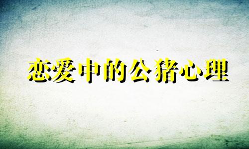 恋爱中的公猪心理