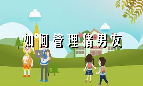 如何管理猪男友