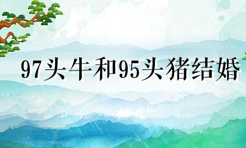97头牛和95头猪结婚