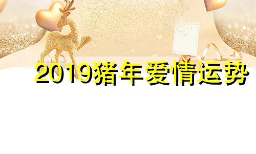 2019猪年爱情运势