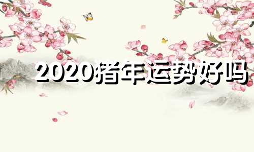 2020猪年运势好吗