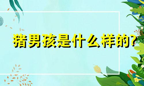 猪男孩是什么样的?