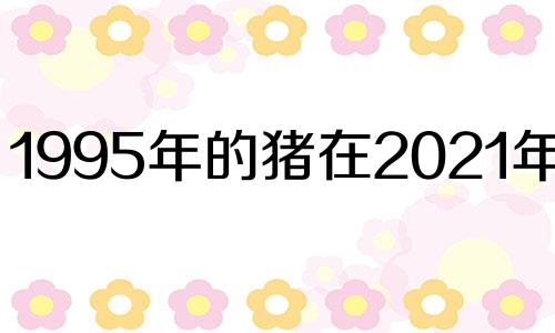 1995年的猪在2021年旅行