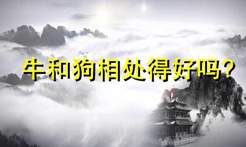 牛和狗相处得好吗?