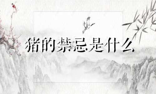 猪的禁忌是什么