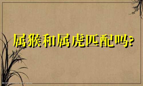 属猴和属虎匹配吗?