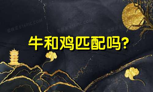 牛和鸡匹配吗?