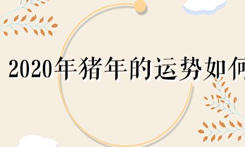 2020年猪年的运势如何