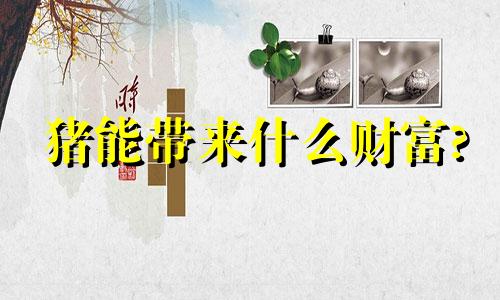 猪能带来什么财富?