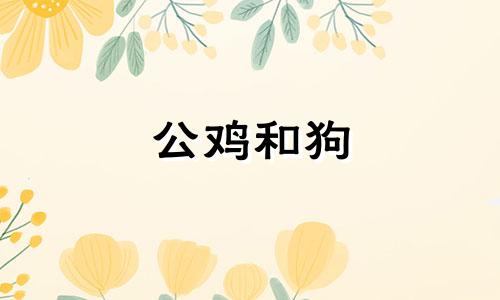 公鸡和狗