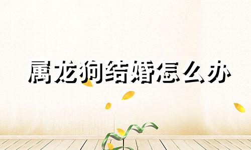 属龙狗结婚怎么办
