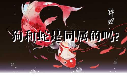 狗和蛇是同属的吗?