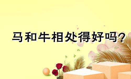 马和牛相处得好吗?