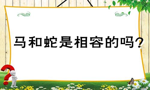 马和蛇是相容的吗?