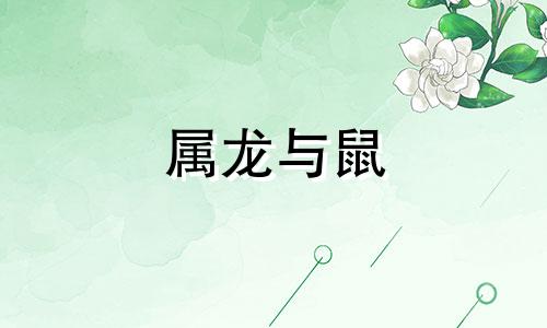 属龙与鼠