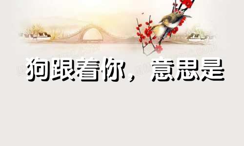 狗跟着你，意思是