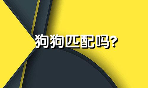 狗狗匹配吗?