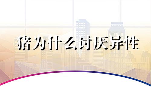 猪为什么讨厌异性